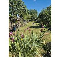 Pachtgarten in Siebleben - 3.700,00 EUR Kaltmiete, ca.  0,00 m² in Gotha (PLZ: 99867)