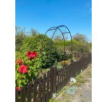 Kleingarten zur Pacht in Pratau Lutherstadt Wittenberg - Wittenberg Lutherstadt Euper