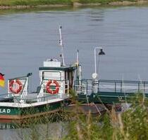 Für 2025 noch Termine frei: Ferien mit Hund an der Elbe - Strehla