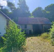 Einfamilienhaus mit großem Grundstück in Nieder-Ohmen - Mücke