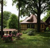 Königspark Dresden Oberloschwitz - Haus König Johann - 2-Zimmer-Wohnung mit Loggia (WE 54)