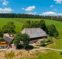Fewo im Schwarzwald, Sauna, nähe Titisee - Vöhrenbach