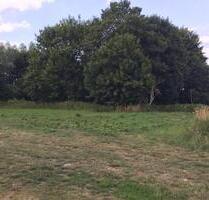 Freizeitgrundstück naturnah in Ostseenähe zur Pacht - Wismar Altstadt