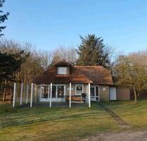 Ferienhaus auf Ameland - 1.000,00 EUR Kaltmiete, in Essen (PLZ: 45149) Stadtbezirk III
