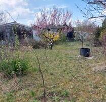 Garten günstig abzugeben - 20,00 EUR Kaltmiete, ca.  0,00 m² in Kölleda (PLZ: 99625)