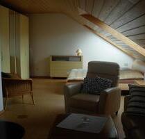 Modernisierte, sehr großzügige 1 Zimmer-Whng. (70m²) mit EBK - Weilheim an der Teck