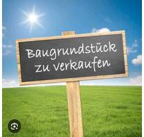 Bauplatz in Buch 780 qm,a - 325,00 EUR Kaltmiete, ca.  0,00 m² in Buch (PLZ: 89290)