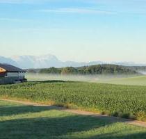 Last Minute Ferienwohnung Bayern Oberbayern AUGUST neue Termine - Egling