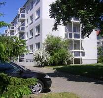 Optimale 2Raumwohnung, bestens ausgestattet, viel Grün, ganz ruhig. - Wurzen