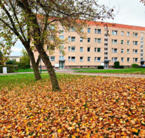 3 Zimmer Wohnung mit Balkon in Querfurt
