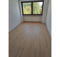 GröpelingenFischerhuder Str.: frisch sanierte 3-Zimmer-Whg mit Balkon - Bremen Burglesum