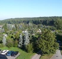 Hier geht es hoch hinaus! - 309,00 EUR Kaltmiete, ca.  59,16 m² in Limbach-Oberfrohna (PLZ: 09212)