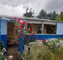 Pacht Garten - 400,00 EUR Kaltmiete, ca.  0,00 m² in Wittenberg Lutherstadt (PLZ: 06886)