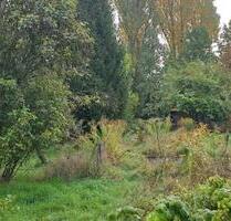 Gartengrundstück in FrankfurtHarheim - Frankfurt am Main Bonames