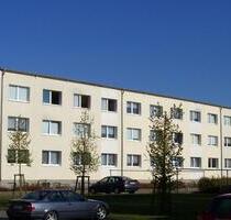 2 Raum Wohnung in Tribsees - 281,00 EUR Kaltmiete, ca.  46,70 m² in Tribsees (PLZ: 18465)