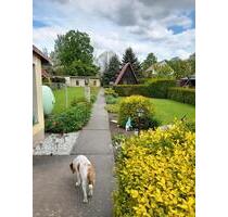 Charmantes Reiheneckhaus - 88.000,00 EUR Kaufpreis, in Seeland (PLZ: 06469)