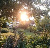 Garten Kleingarten Schrebergarten - Dresden Plauen