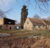 Historisches Landhaus mit 8000 m² Grundstück, Scheune und Bauland - Ferdinandshof