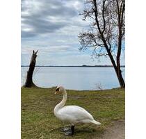 Voll Möblierte 2 Zimmer Wohnung Seeblick Terrasse Stellplatz - Trebbin