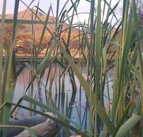 Namibia Landfläche zu verpachten - Seligenstadt