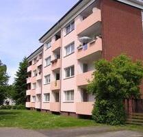 Frisch renoviert – sofort einziehen - Osnabrück Gretesch