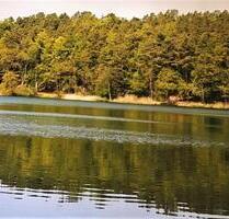 2 Raum Wohnung mit Garten am Wald nahe See - Blankensee