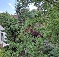 Schöne 2 ZKBB in der List zu vermieten - Hannover Vahrenwald-List