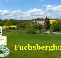 Urige Ferienwohnung am Müritz Nationalpark Angelurlaub - Möllenhagen