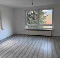 4 + 1 Zimmer Wohnung zu vermieten Küche vorhanden - Bad Lauterberg im Harz