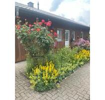 VORANKÜNDIGUNG! EFH im Skandinavien Stil in Wildeshausen..