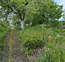 Schrebergarten Hegelsberg KgV - 2.950,00 EUR Kaltmiete, ca.  0,00 m² in Kassel (PLZ: 34127) Philippinenhof-Warteberg