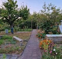 Pachtgarten - 600,00 EUR Kaltmiete, ca.  0,00 m² in Cottbus (PLZ: 03044) Brunschwig