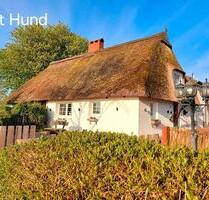 Herbst und Winterzauber: Ostsee-Reetkate in Alleinlage und Strandnähe, Hunde herzlich willkommen, eingezäunter großer Garten, mit Wallbox | Ferienhaus Lübecker Bucht nahe Fehmarn, Heiligenhafen - Heringsdorf