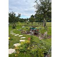 Garten Kleingarten Pachtgarten - 5.100,00 EUR Kaltmiete, ca.  0,00 m² in Stralsund (PLZ: 18435) Knieper