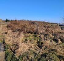 Grundstück für Tiny-House Modulhaus zu verpachten - Erxleben