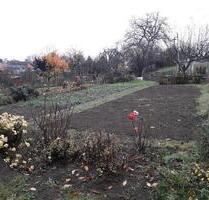 Kleingarten in Langenstein - 120,00 EUR Kaltmiete, ca.  0,00 m² in Blankenburg (Harz) (PLZ: 38895) Derenburg