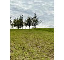 Garten zu verpachten - 50,00 EUR Kaltmiete, ca.  0,00 m² in Bühl (PLZ: 77815)