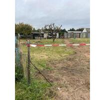 Kleingarten zur Pacht - 112,00 EUR Kaltmiete, ca.  0,00 m² in Grevesmühlen (PLZ: 23936)