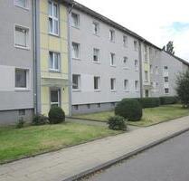 Wohnen, wo das Herz schlägt - in ruhiger und doch zentraler Lage. - Essen Stadtbezirk V