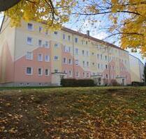 renovierte 1-Raumwohnung ab 01.03.2026 zu vermieten - Neukirch/Lausitz