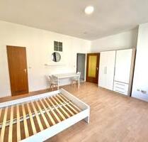 Helles 1-Zimmer-Apartment mit neuer Möbilierung, super zentral! - Ladenburg