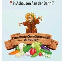 Garten zum Gemüseanbau - 239,00 EUR Kaltmiete, ca.  0,00 m² in Stelle (PLZ: 21435)