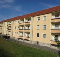 renovierte 3-Raumwohnung ab 01.01.2026 zu vermieten - Neukirch/Lausitz