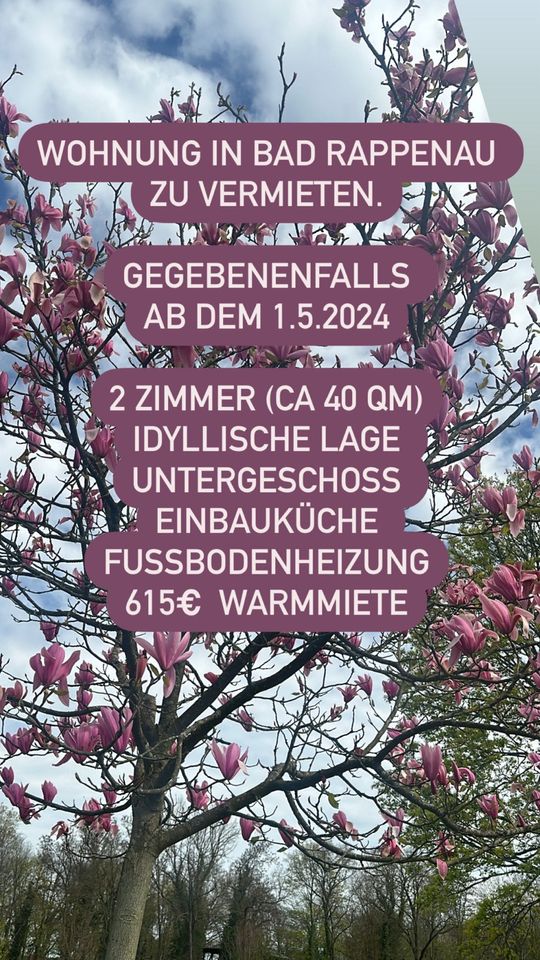 2 Zimmer Wohnung Bad Rappenau (Heilbronn) 615 kalt ab 1.5.2024 - Stuttgart Botnang