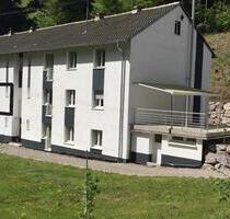 Neu renovierte 2 Zimmer Wohnung - Schwörstadt