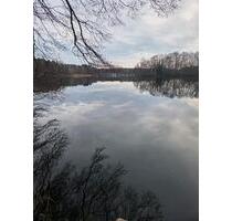 Ferienhaus am See - 300.000,00 EUR Kaufpreis, ca.  50,00 m² in Lübbenau (Spreewald) (PLZ: 03222)