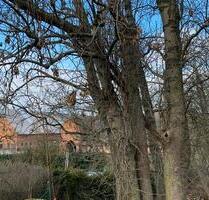 Im Mischgebiet - Viele neue Nutzmöglichkeiten - Denkmalgeschützt - Neuburg