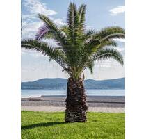 Ferienwohnung in Biograd (Zadar) nah am Strand - München Altstadt-Lehel