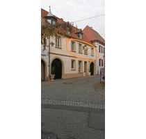 2 Zimmer Wohnung - 660,00 EUR Kaltmiete, ca.  50,00 m² in Wachenheim an der Weinstraße (PLZ: 67157)