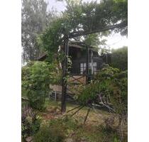 Kleingarten - 600,00 EUR Kaltmiete, ca.  0,00 m² in Ostrau (PLZ: 04749)